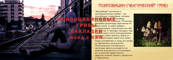 гидропоника Бронницы