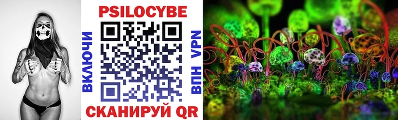 Псилоцибиновые грибы прущие грибы  Купить закладки  Сунжа 